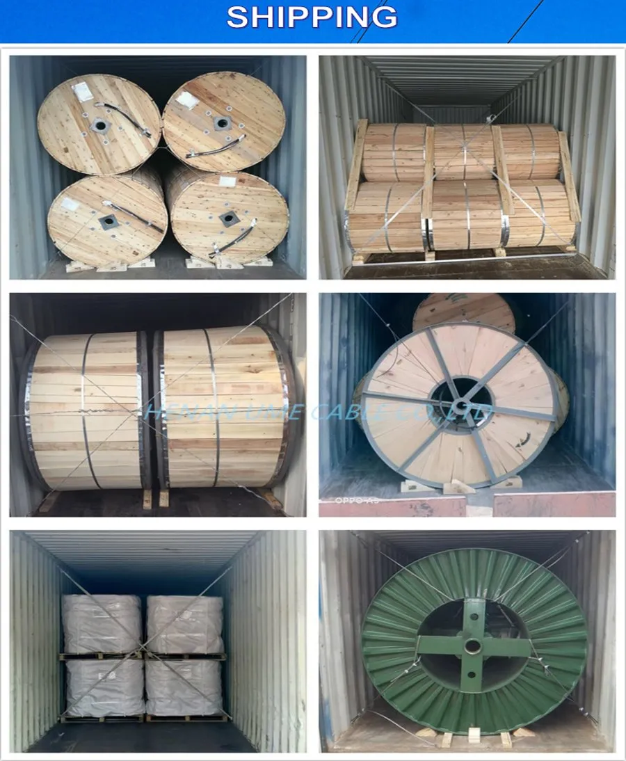 XLPE/PE/PVC Cabos Aéreos Aéreos de Serviço Aéreo AAC/AAAC/ACSR para Linha de Transmissão de Energia 5